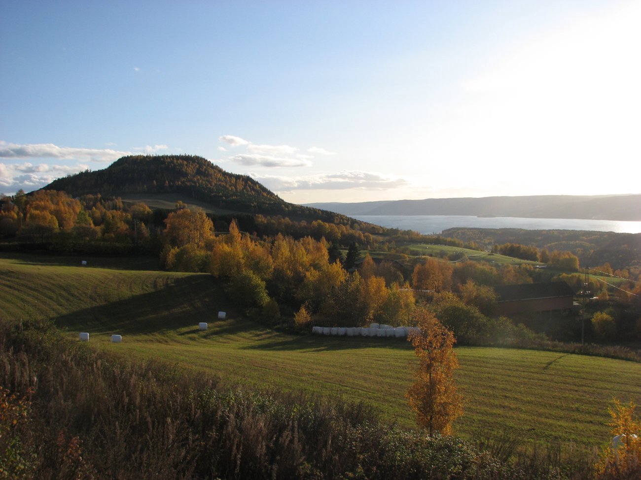 Brandbukampen og Randsfjorden