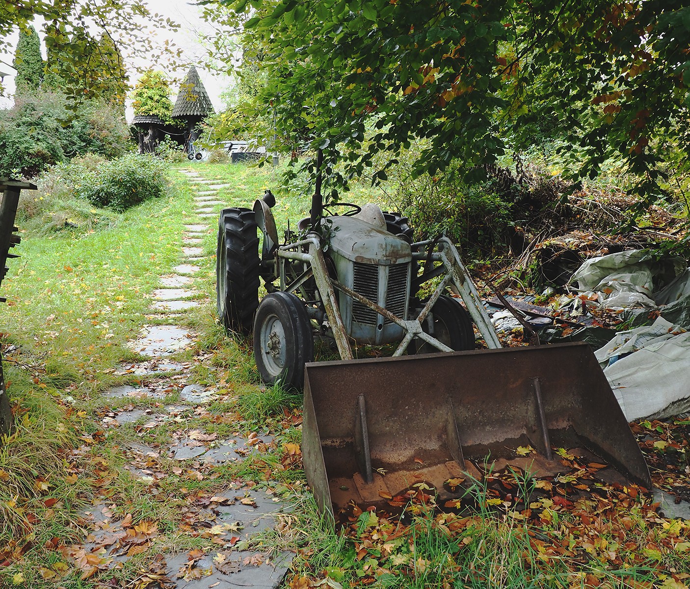 Brønnøya: Ferguson gråtass