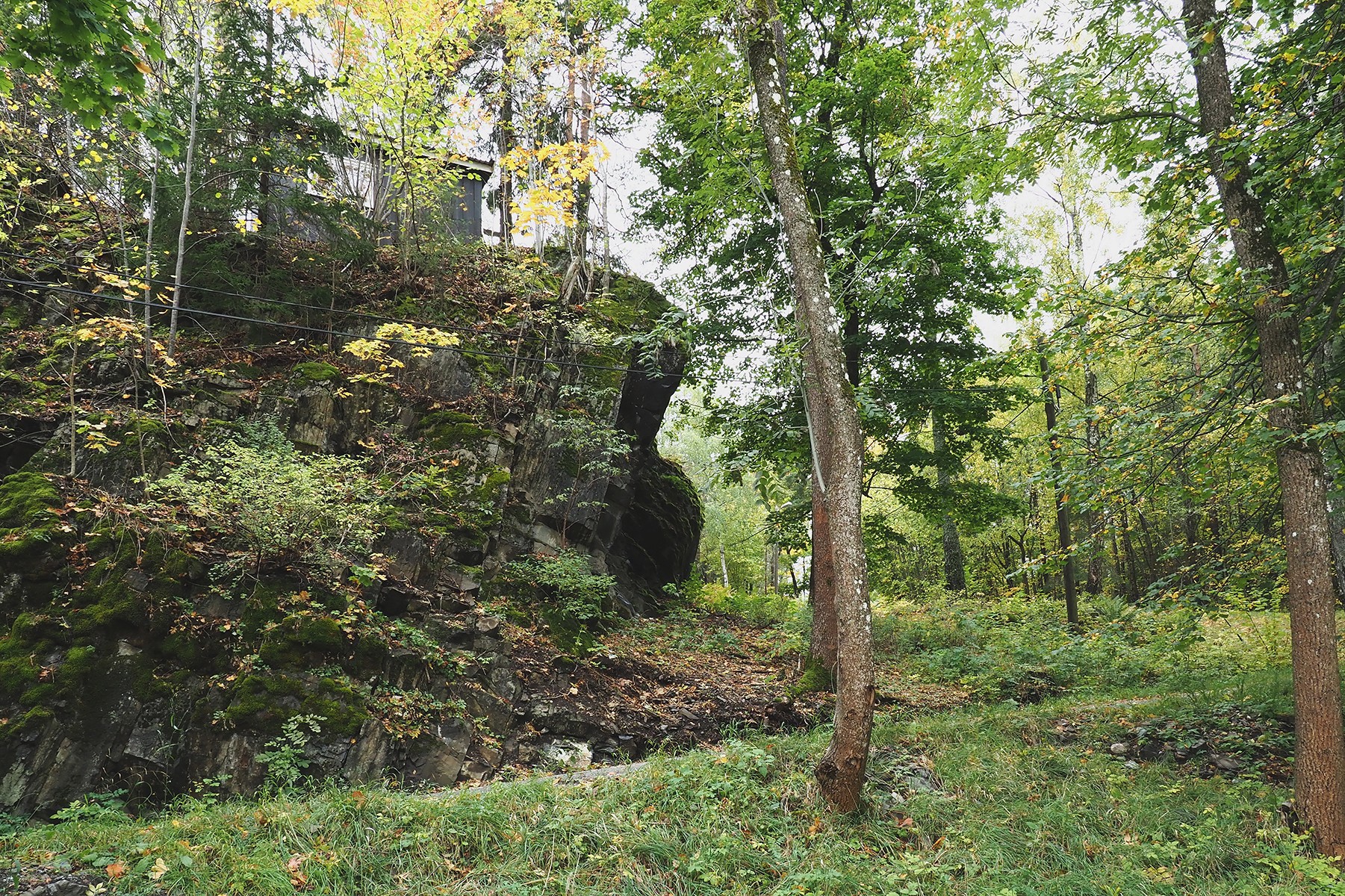 Brønnøya: kupert terreng