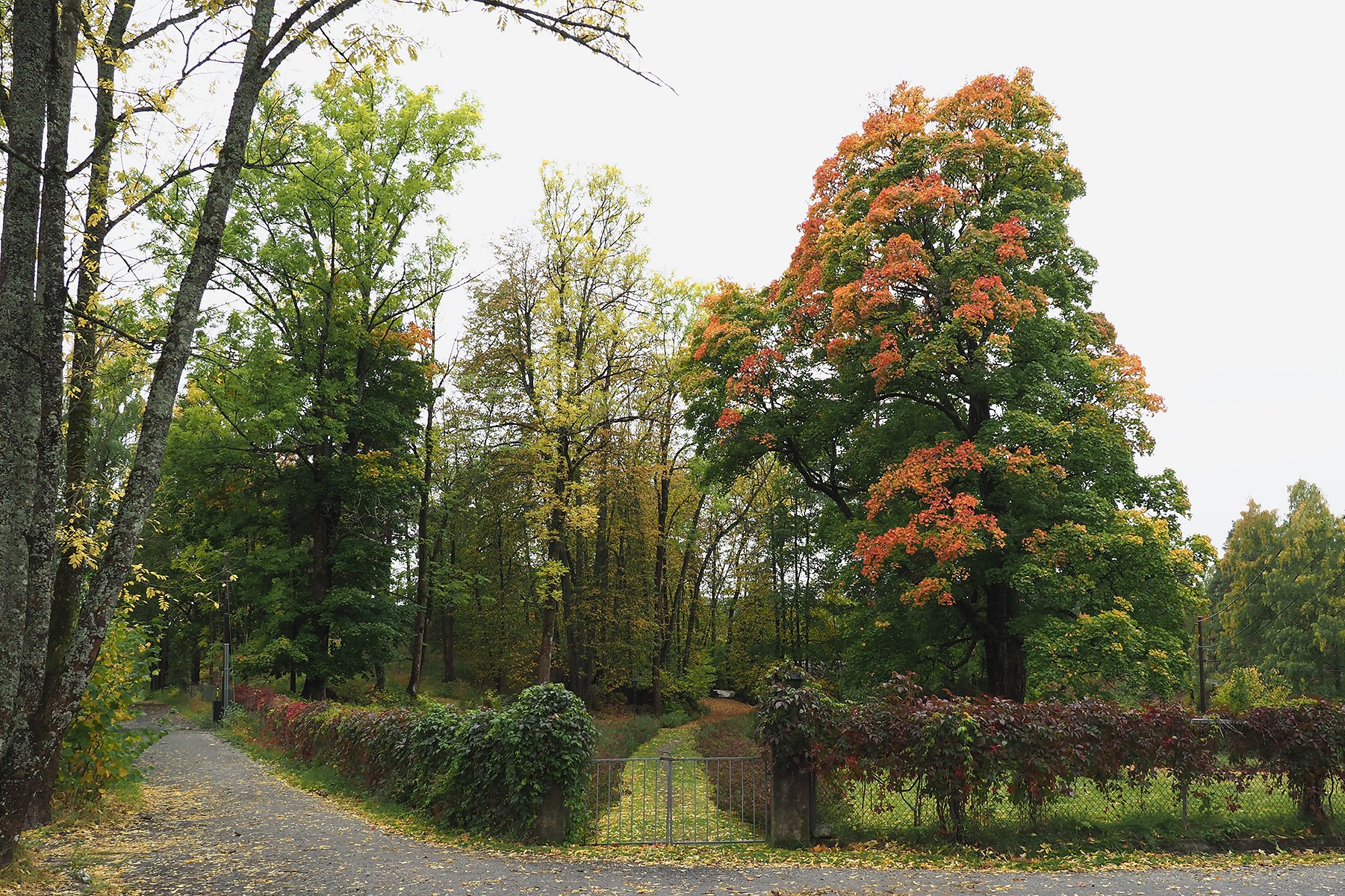 Brønnøya: romslige eiendommer på vestenden