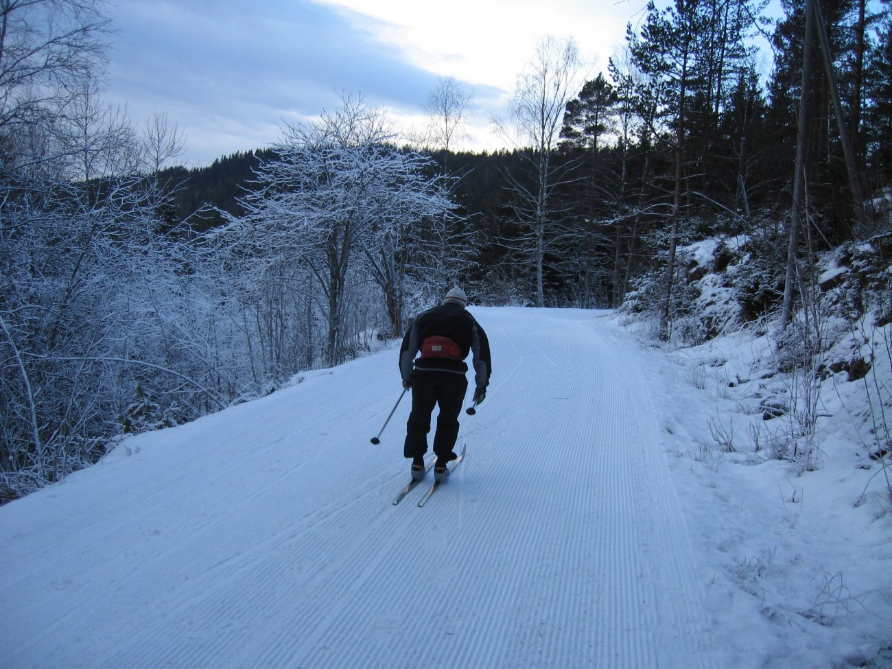 Brukbart i Lillomarka