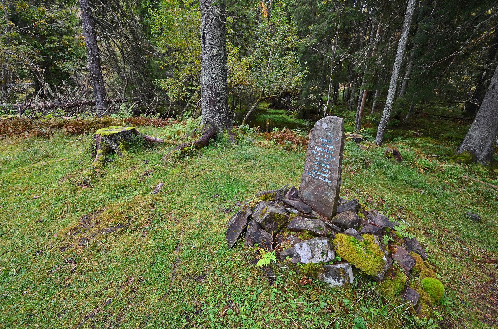 Butterudbonn i Vestmarka: Latinersteinen