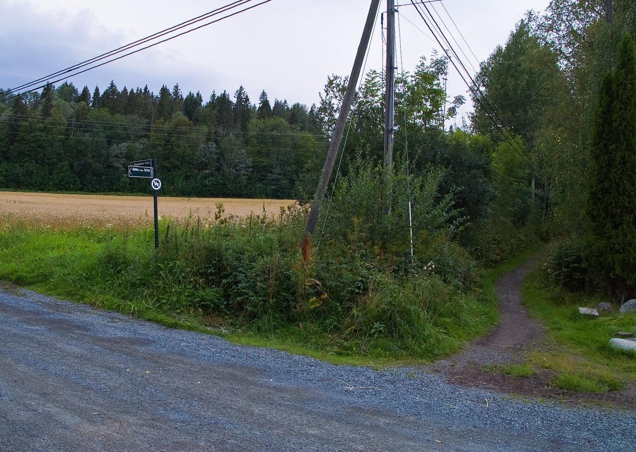 Butterudveien krysses