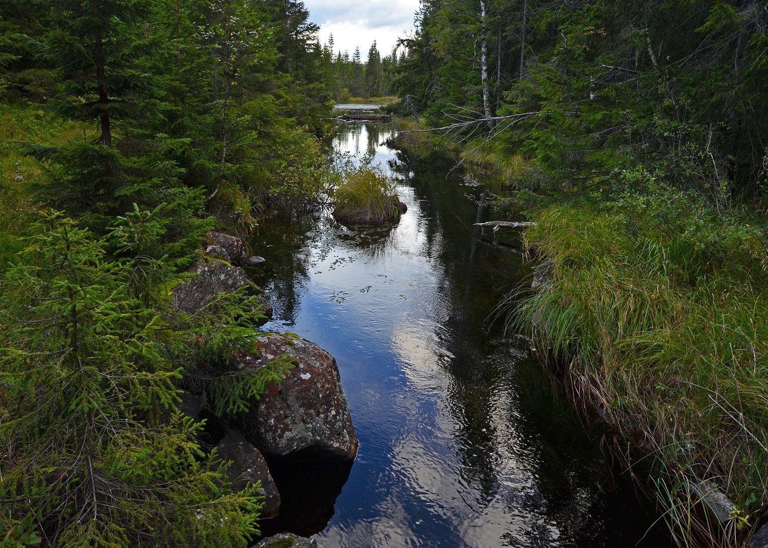 Buvassbekken: fløyta