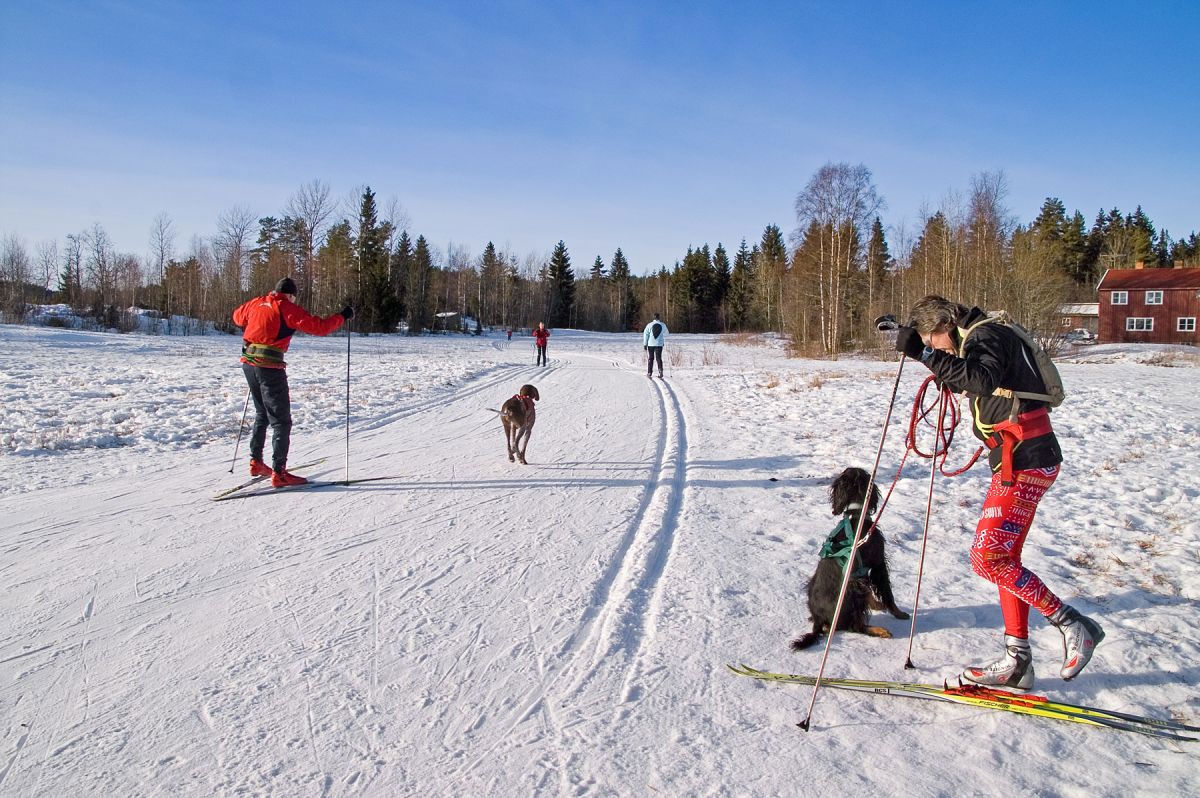 Bytur en fredags ettermiddag