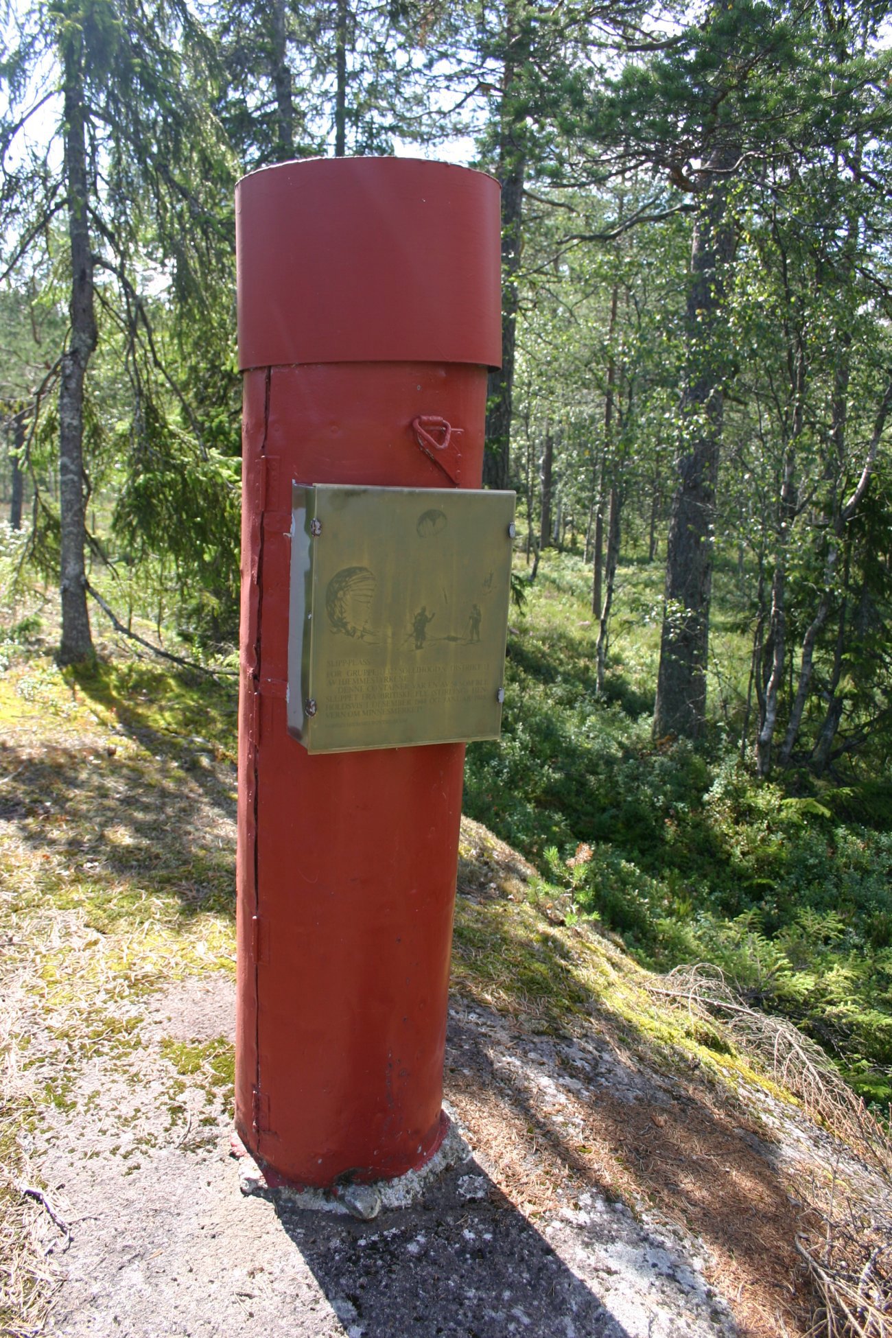 Container fra britisk fly