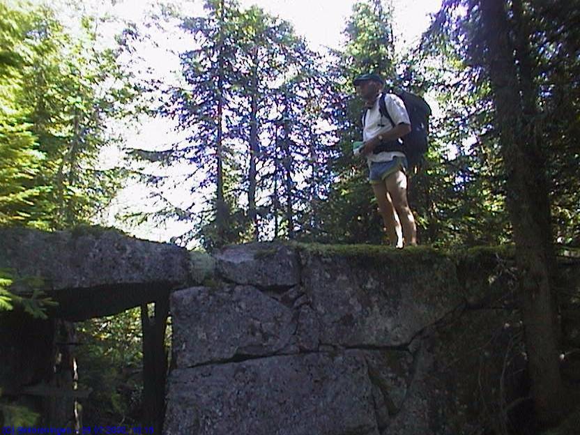 Dammen i Vesle Fidlingen