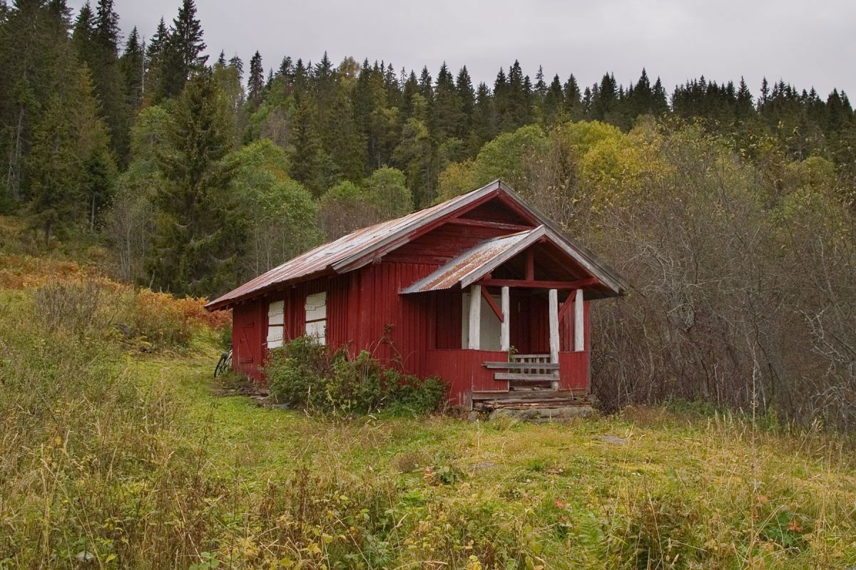 Dammersplassen - litt utenom allfarvei