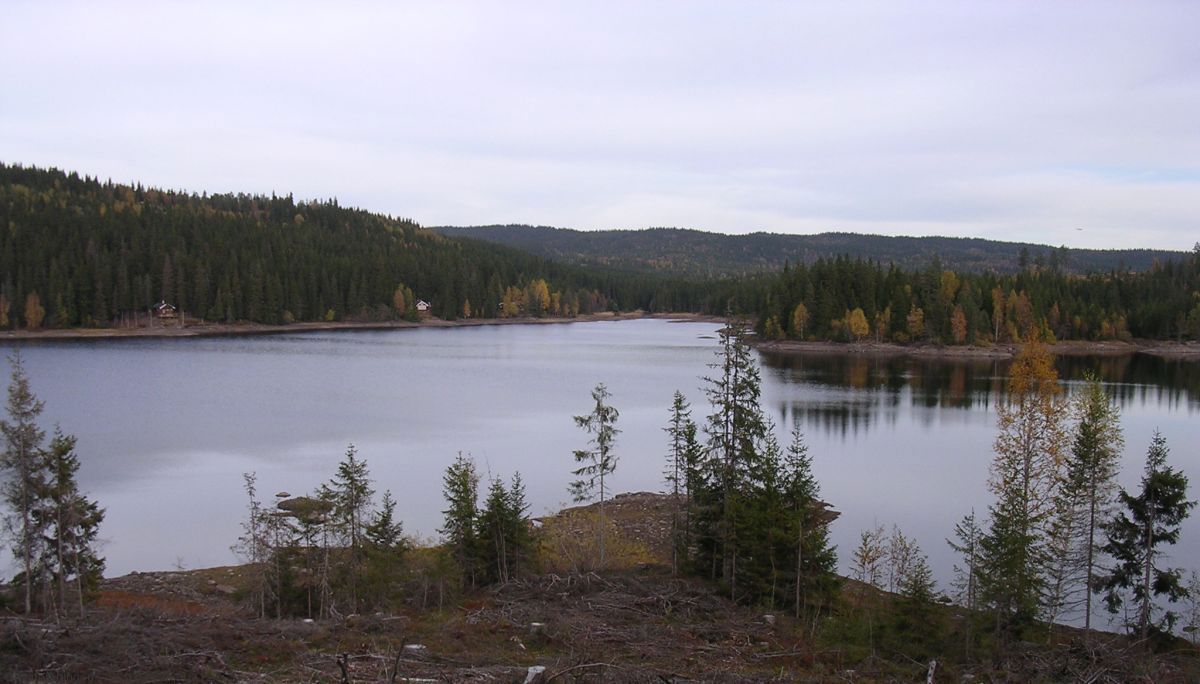 Damtjern en kveld i oktober