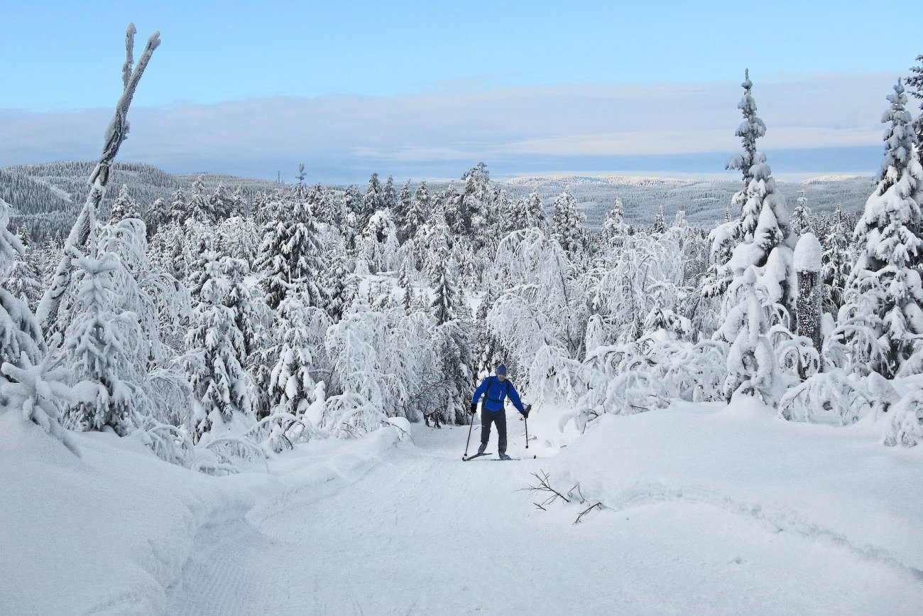 De siste bakkene opp mot Vardåsen