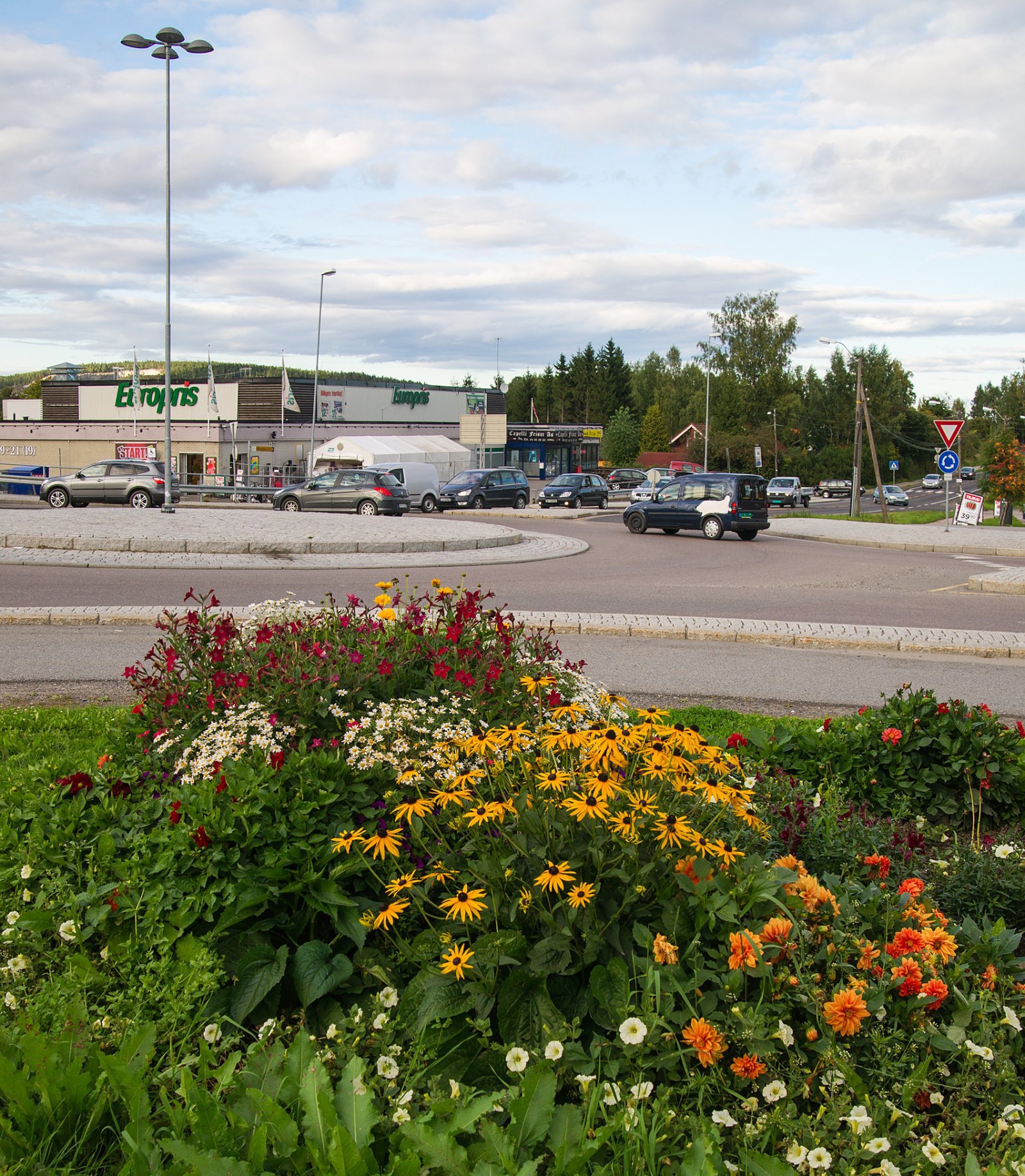 Dekorasjon i krysset