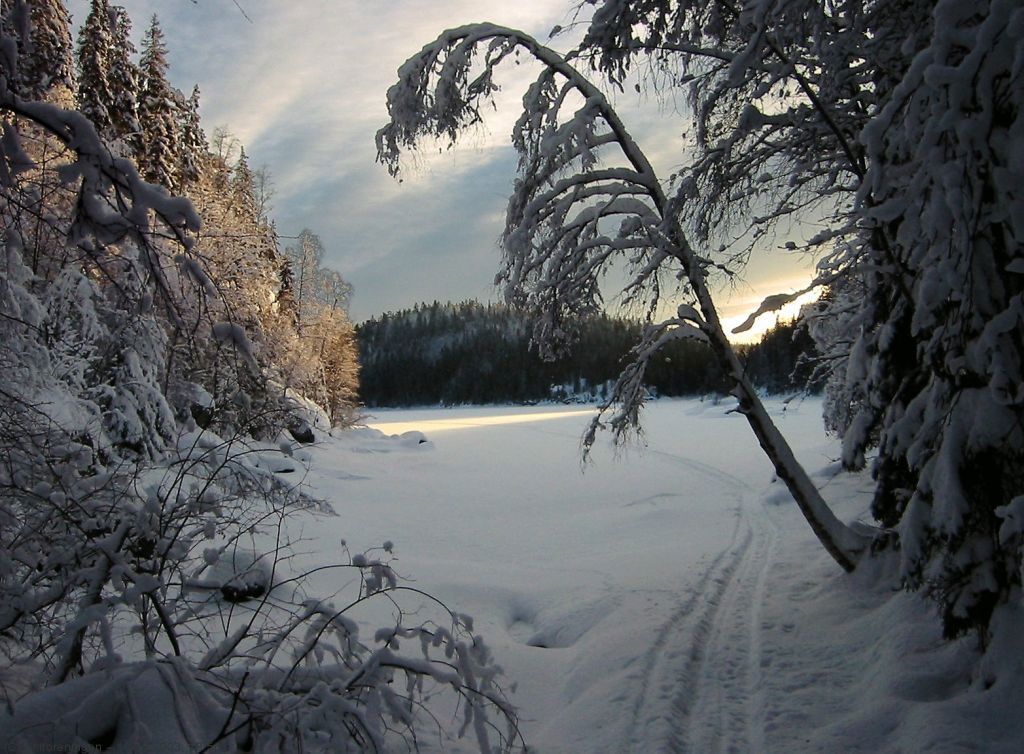 Delisæterfjorden v. Gjørmedalen