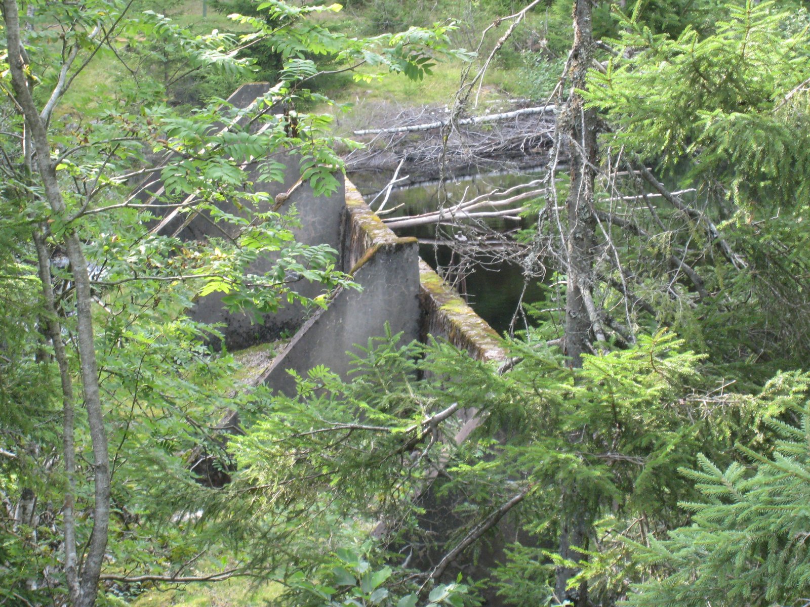 Demning ved Nord-Fløyta