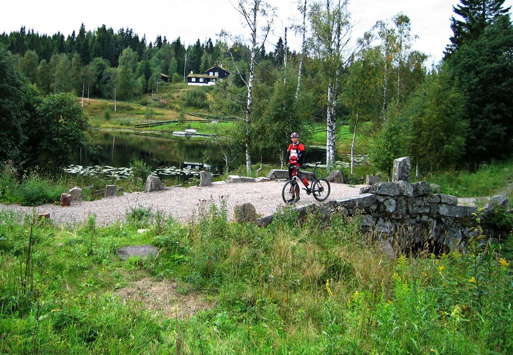 Den Bergenske kongevei