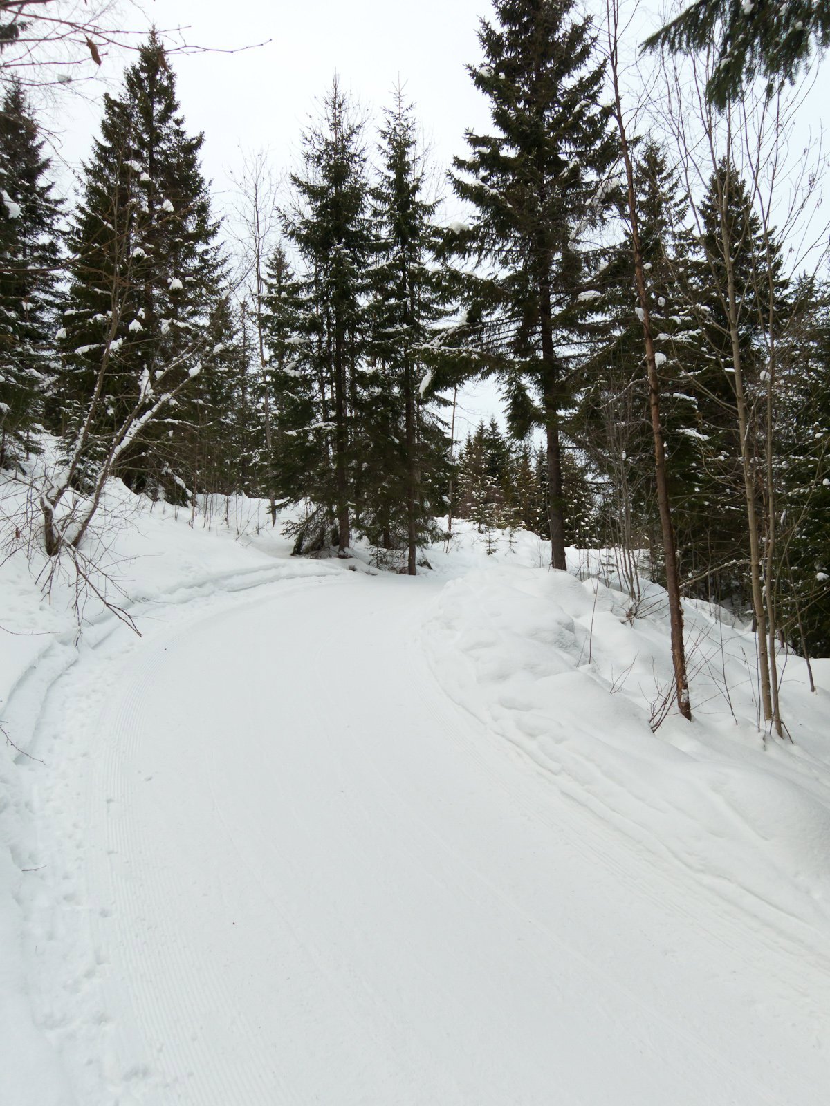 Den egentlige Franskleiv