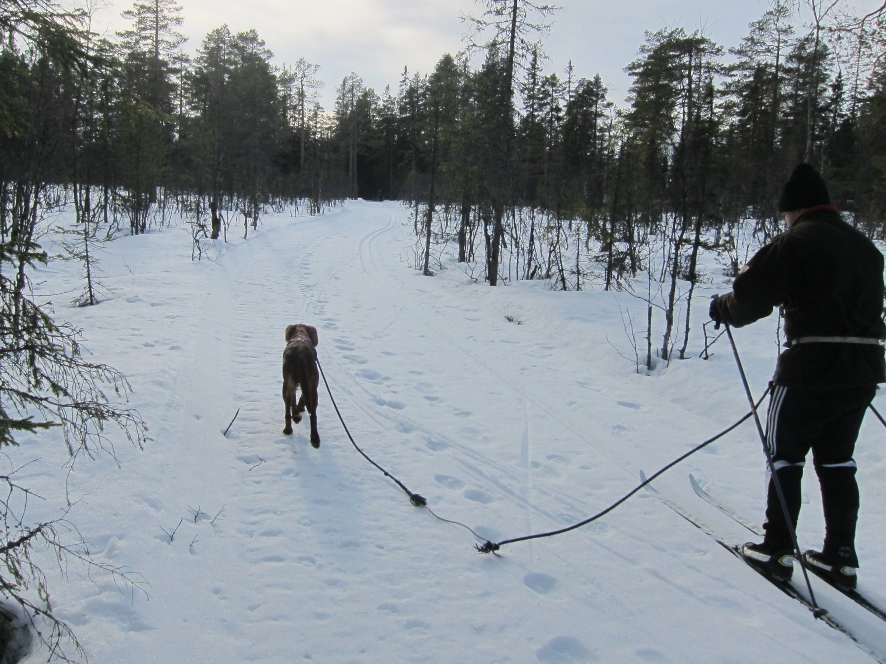 Den firbente i front