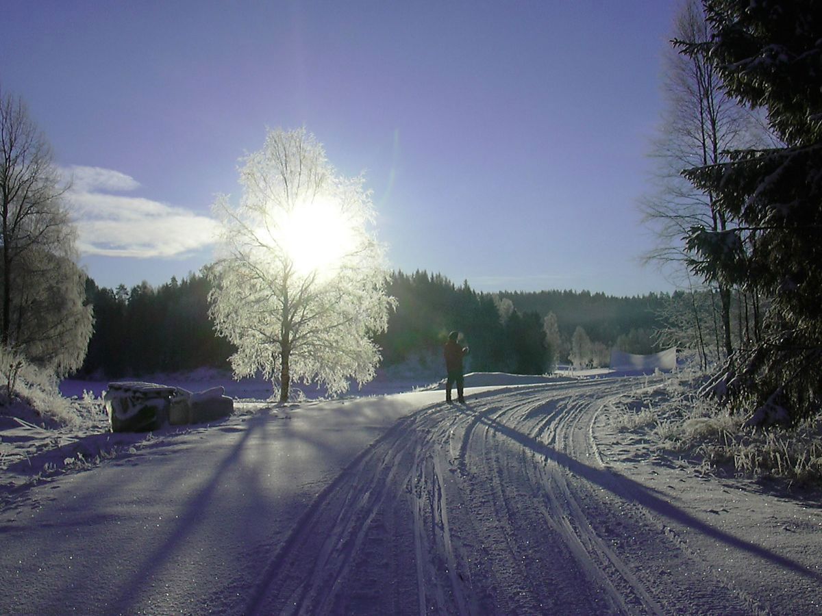 Den første snøen på Krokholveien
