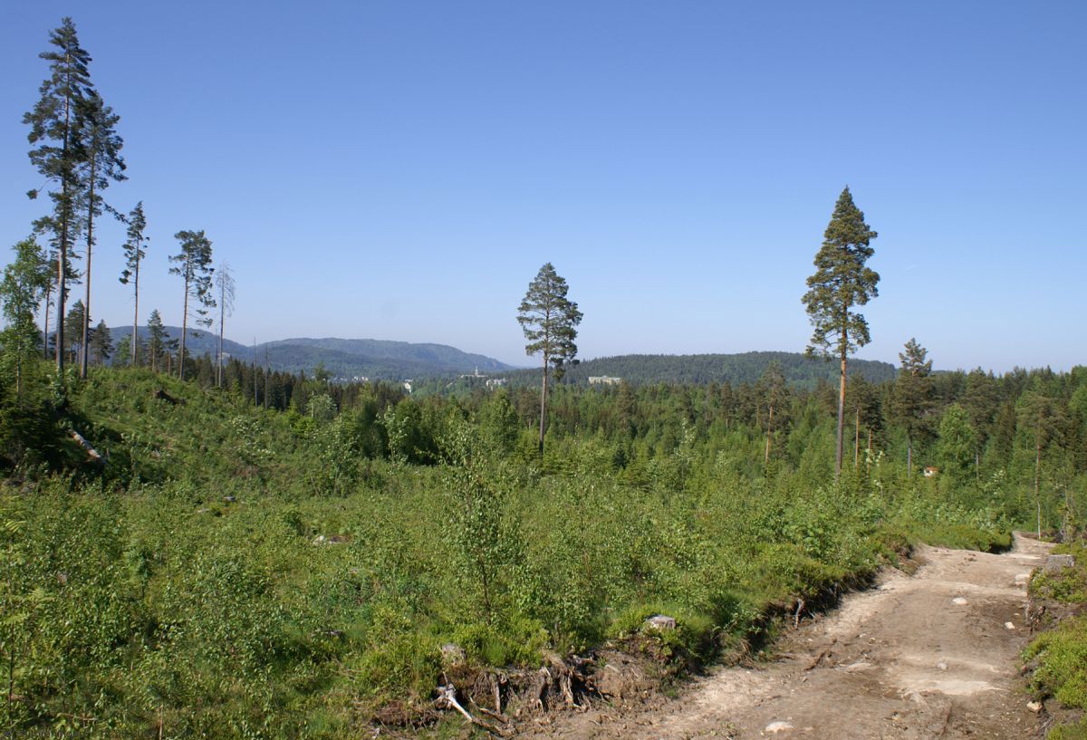 Den sydvestre del av Asker sett fra sykkelsetet