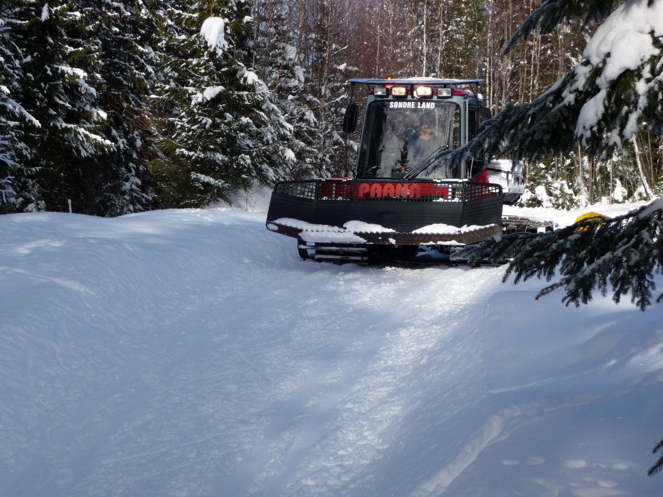 Denne gjør vei i vellinga på øståsen