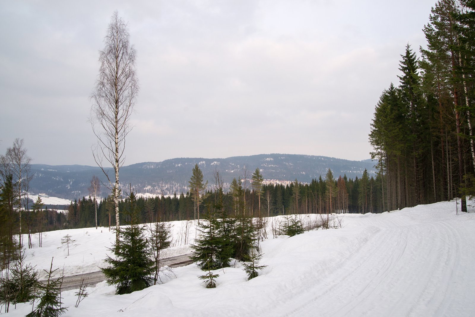 Der borte er Romeriksåsene