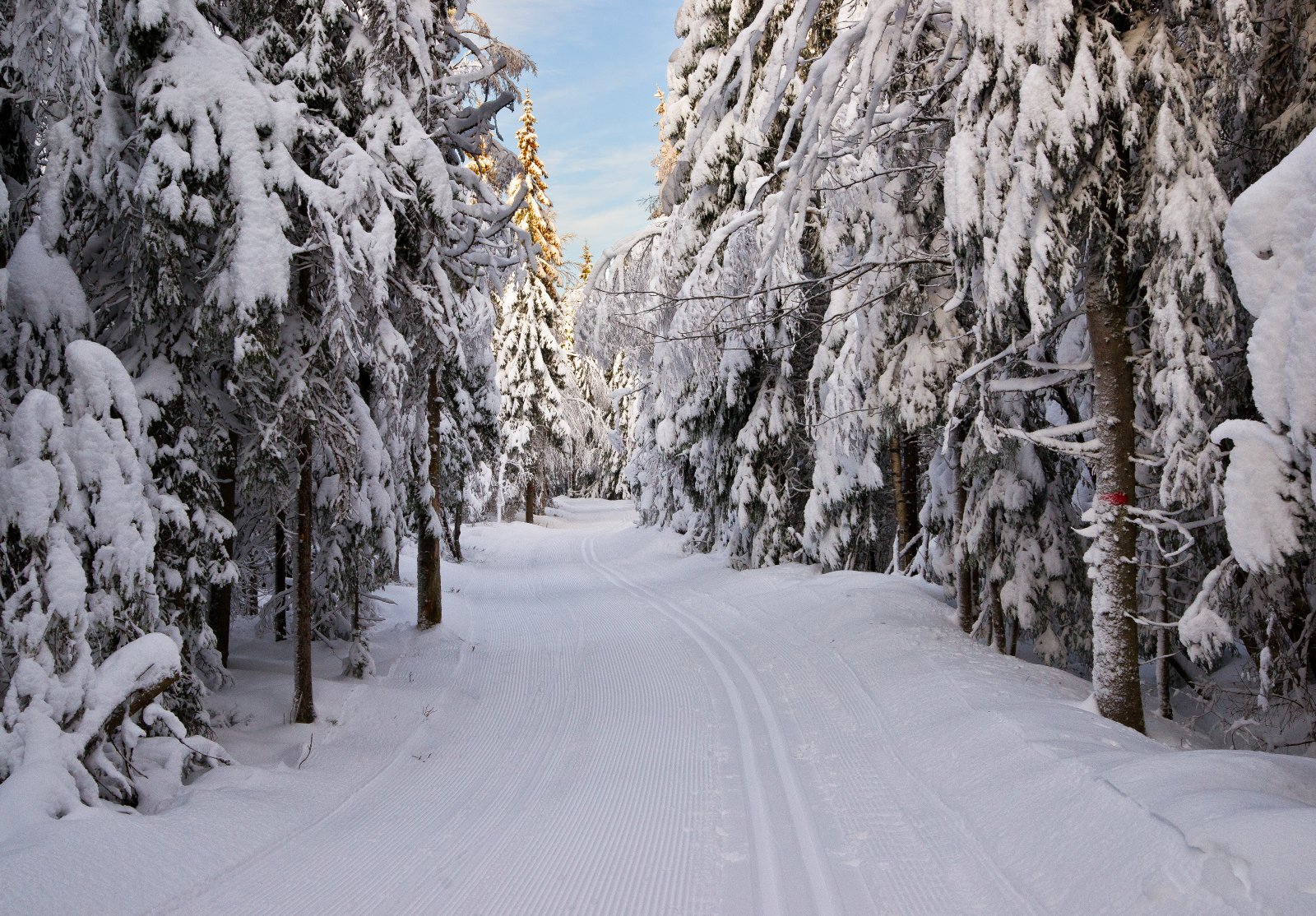 Der hvor løypen slynger seg...