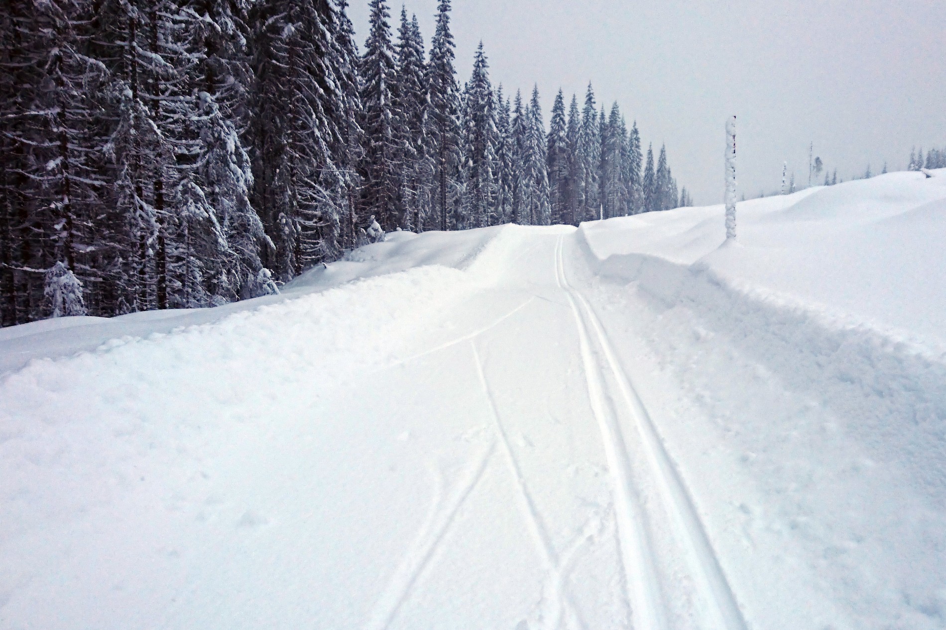 Det begynner å bli skikkelige brøytekanter i terrengløypene