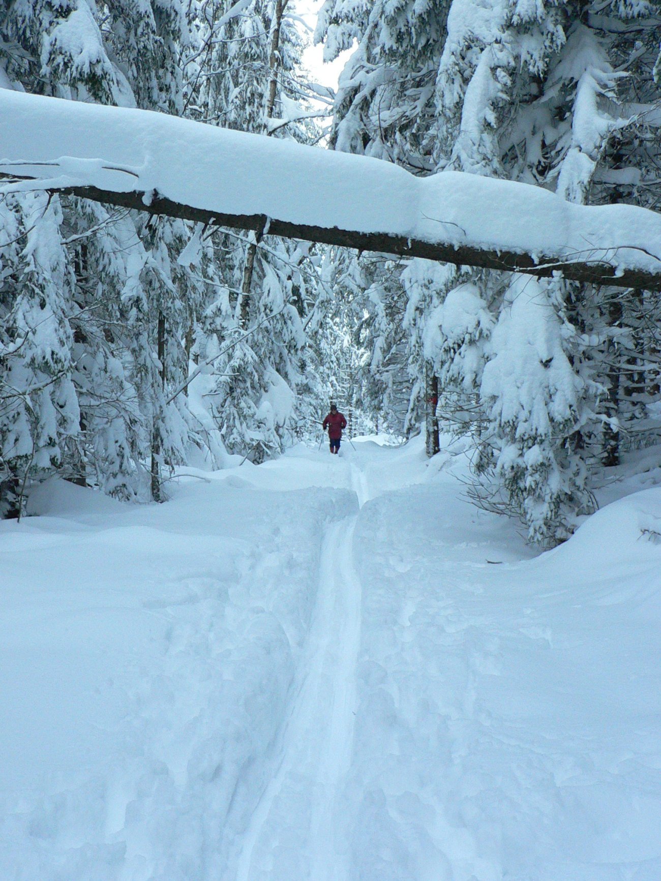 Det er sånne løyper vi vil ha