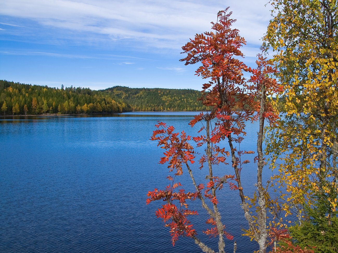 Det er slik høsten skal være!