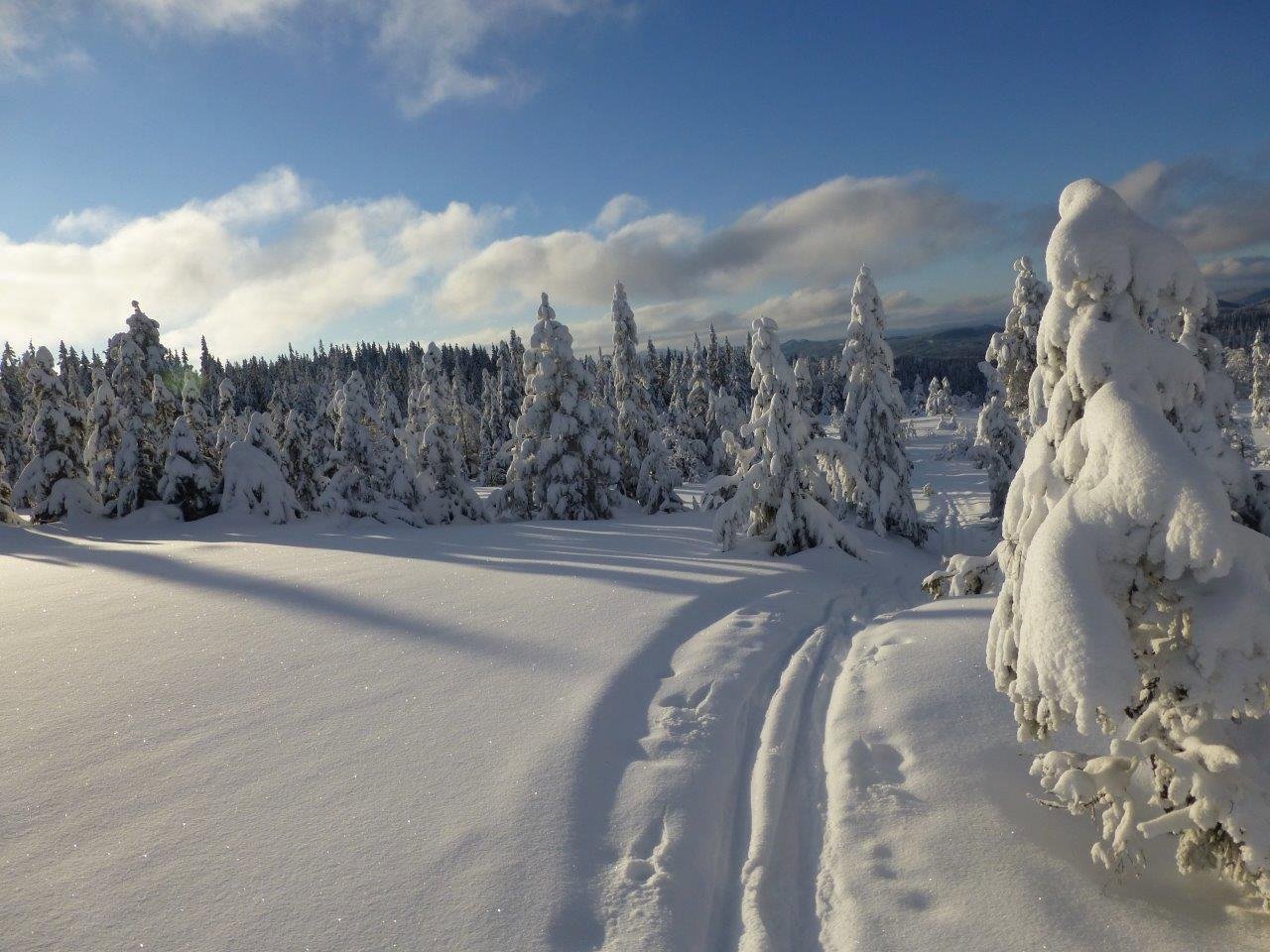 Det glitrer i snøen