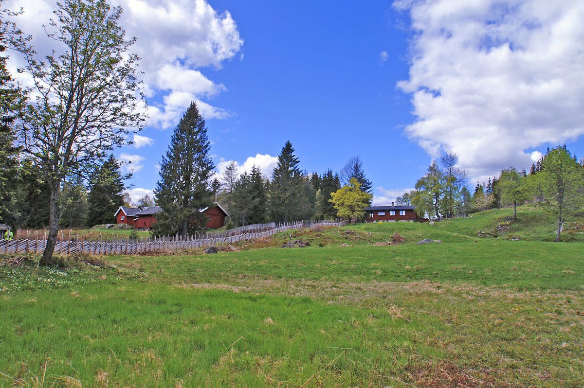 Det grønnes på Bruløkka