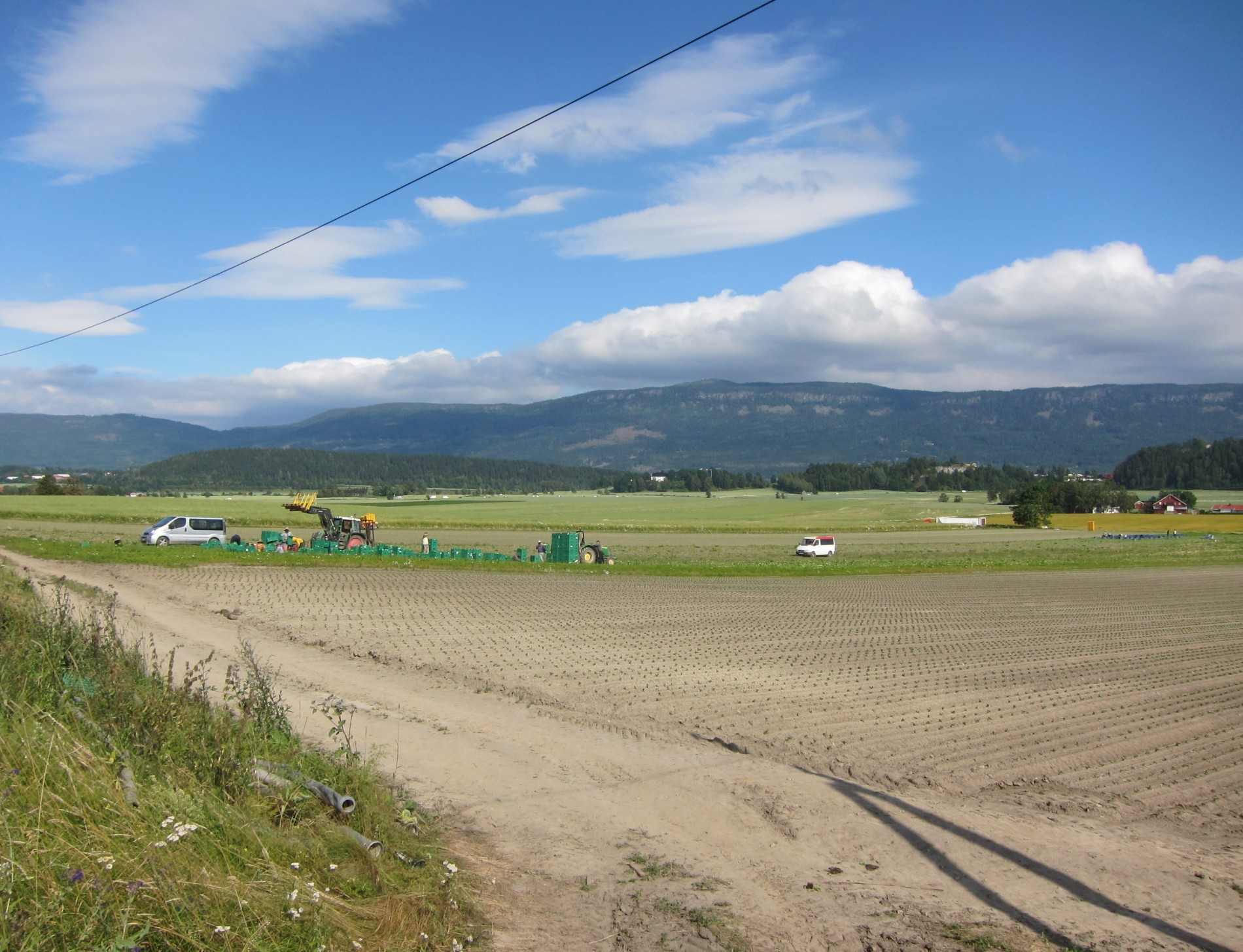 Det jobbes på åkeren