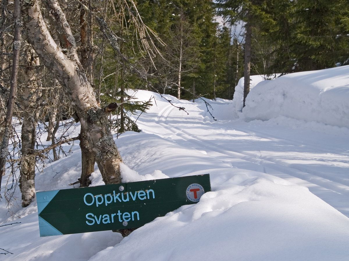 Det KAN være trøblete å finne stien…