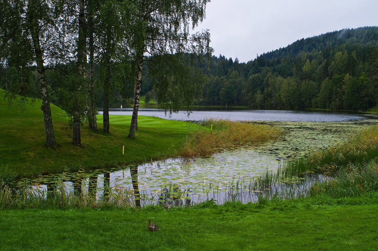 Det siste dagslys i august ved Finnsrudvannet