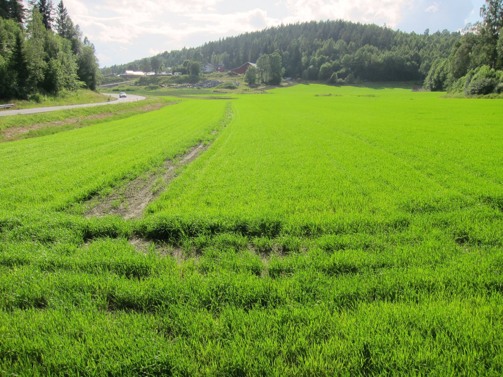 Det spirer i Havsjødalen