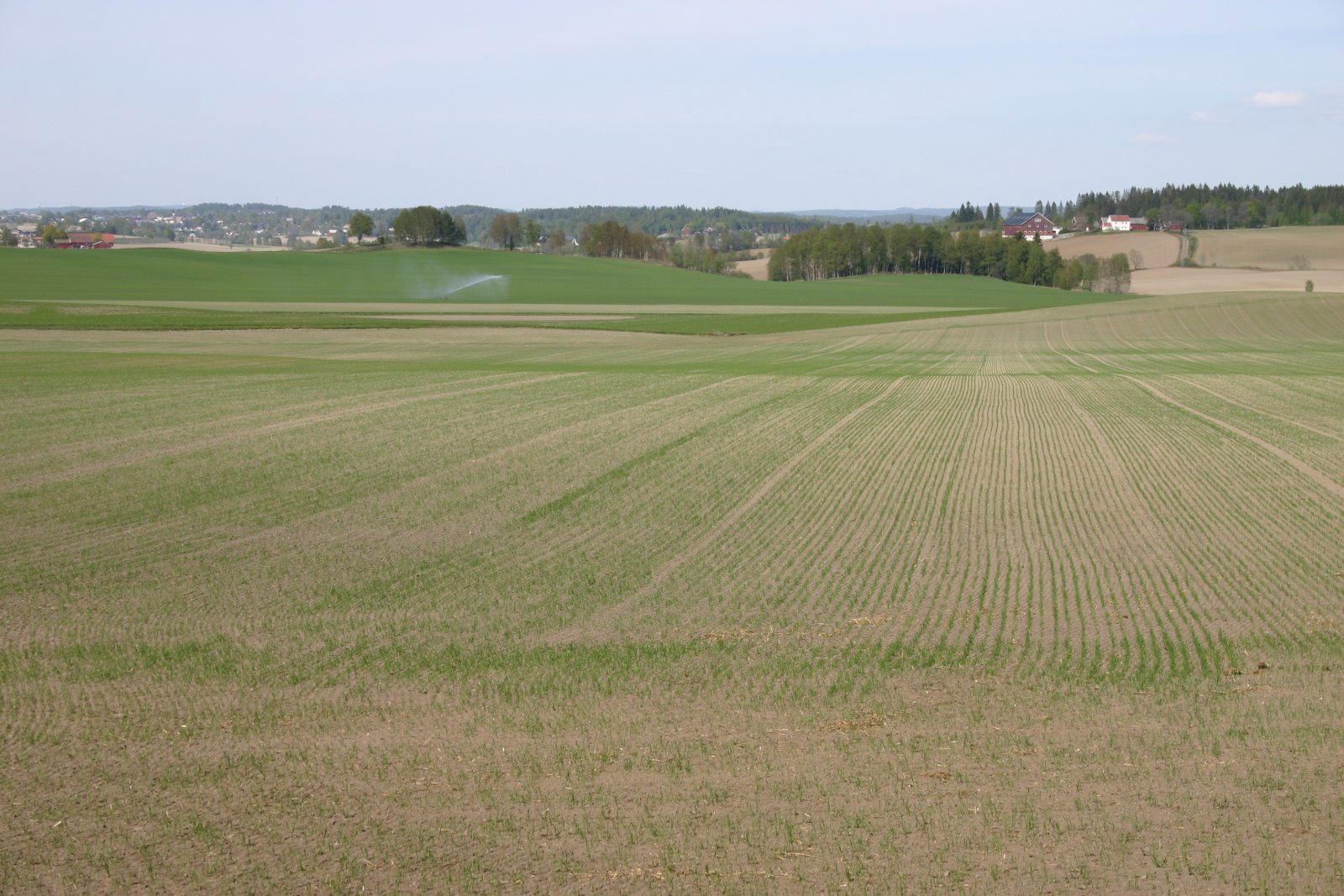 Det spirer på Rustadjordet