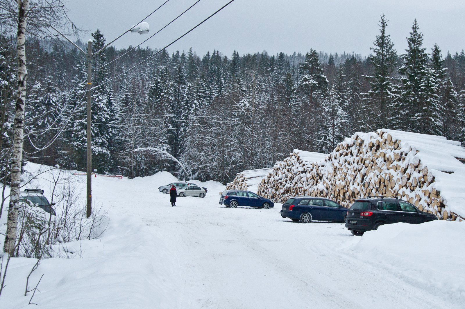 Det tynnes ut ved Tobonn