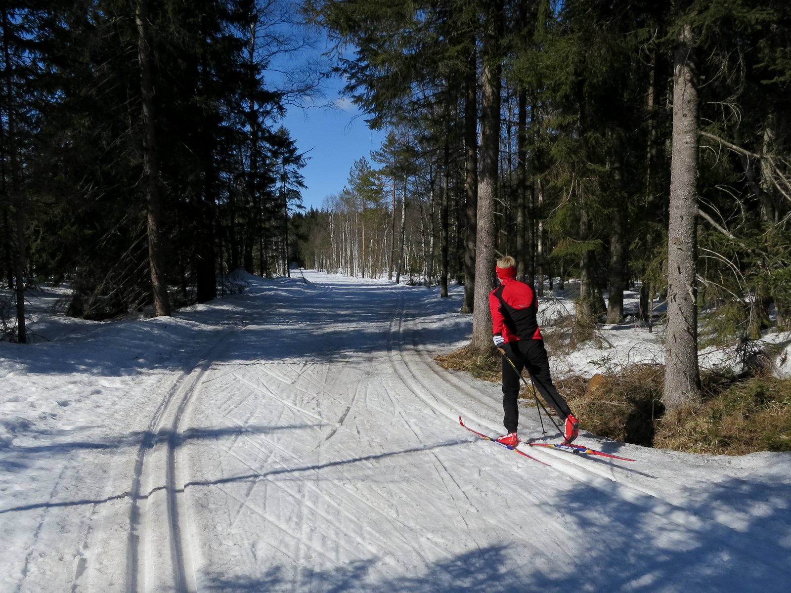 Det våres på myrene