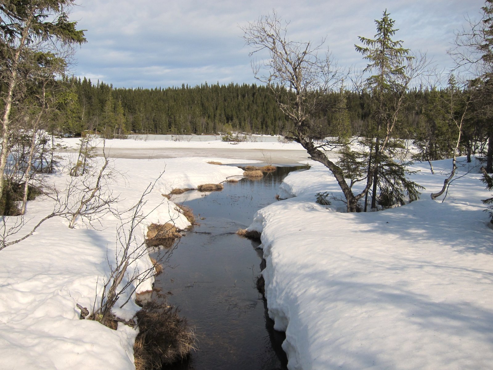 Det våres ved Abbortjennet