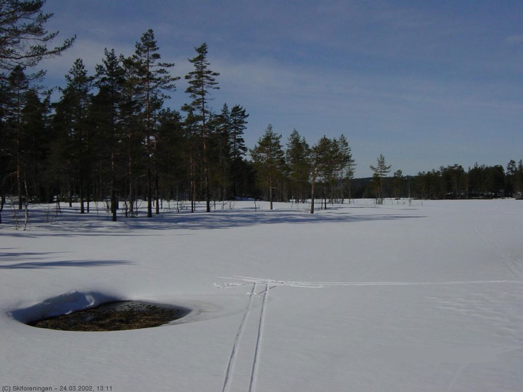 Det våres ved Elvann