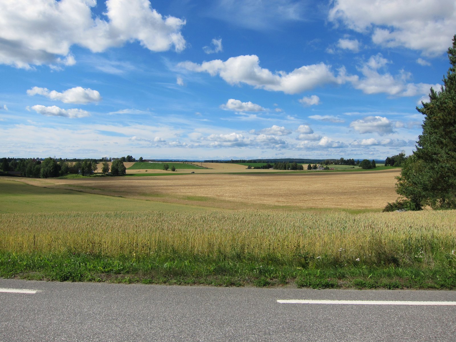 Det vennlige åkerlandskapet