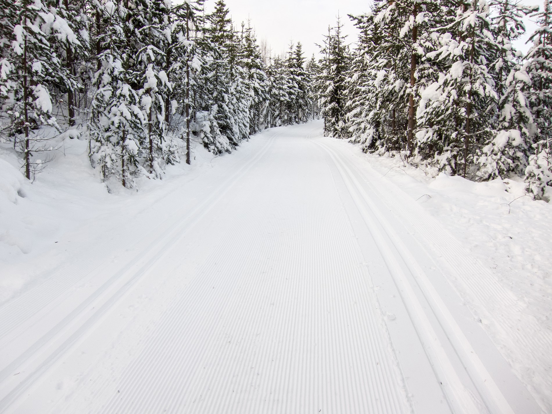 Dette er faktisk november