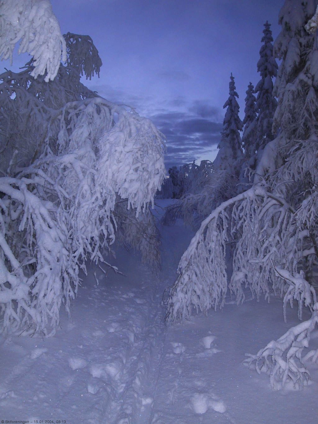Dette var en gang en skiløype ...
