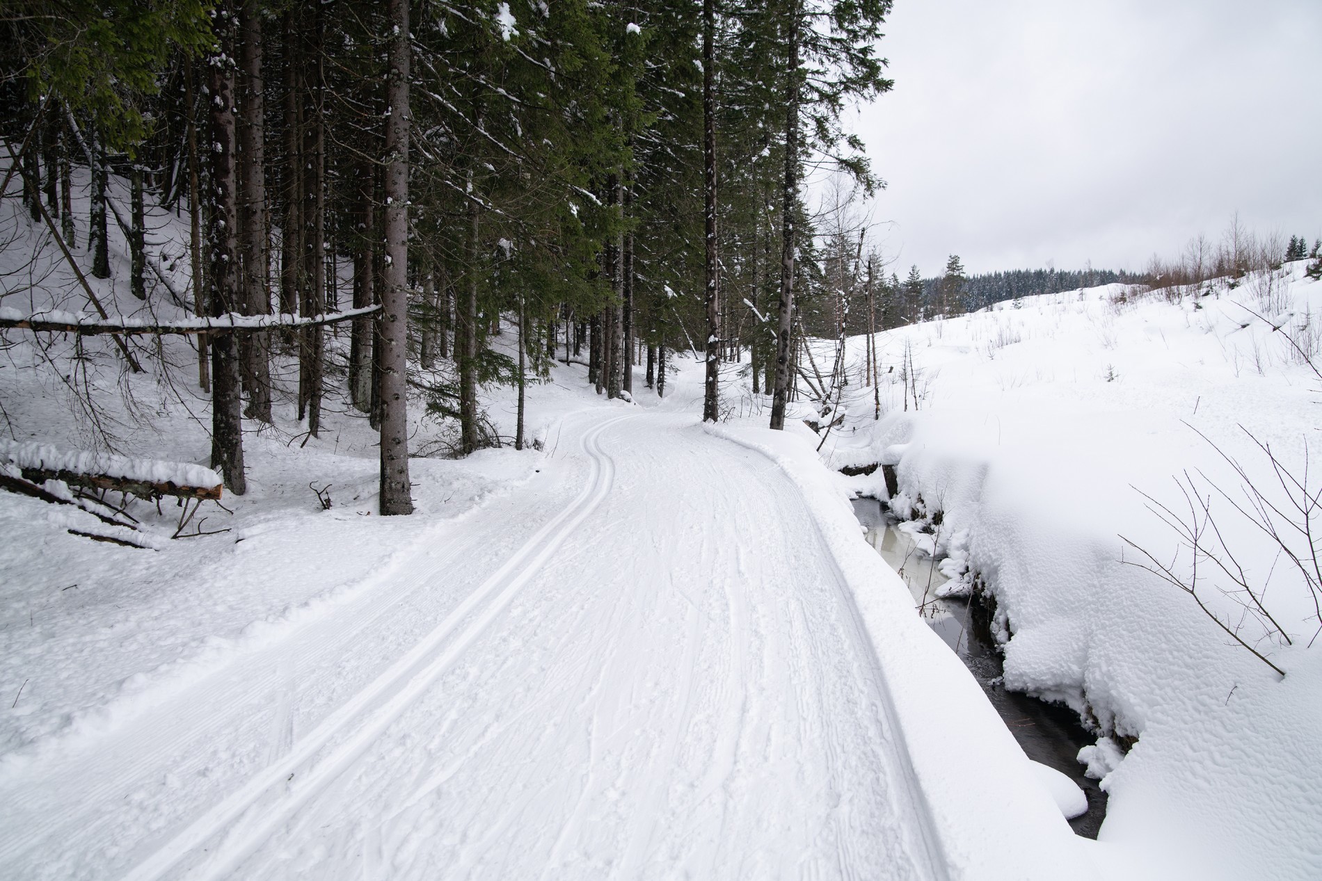Doble muligheter ved Kubakken