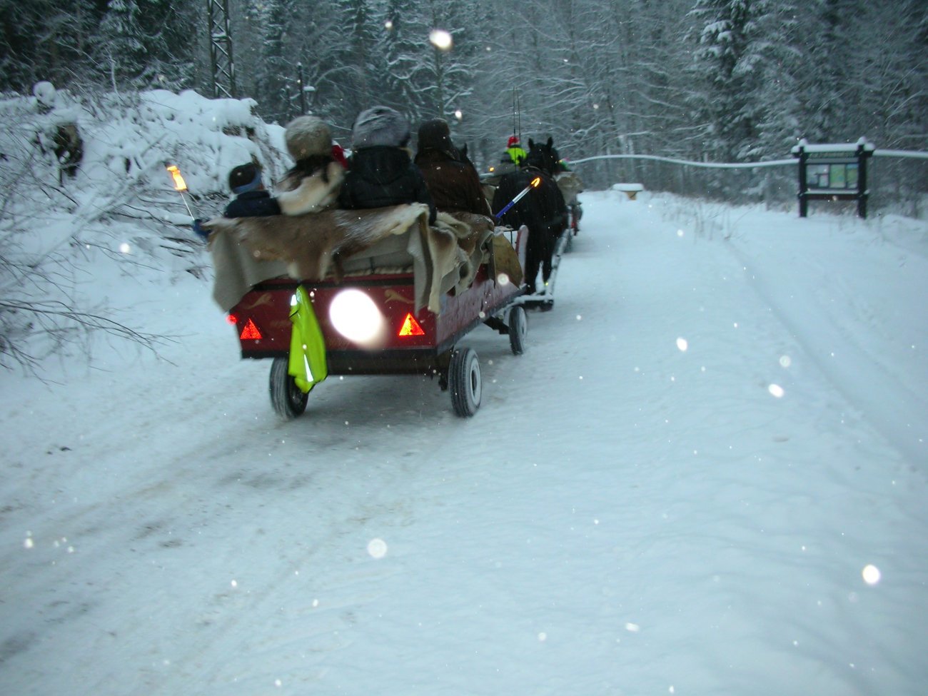 Dombjeller i Maridalen
