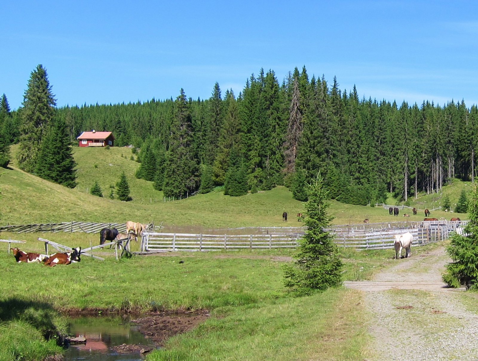 Dorsk dag i Helgedalen