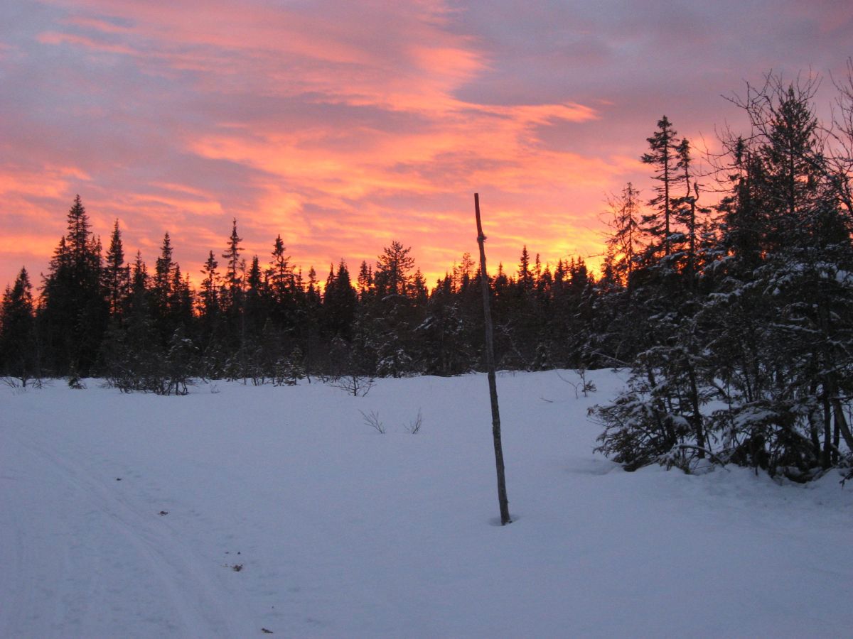 Dramatisk himmel ved Vikseter