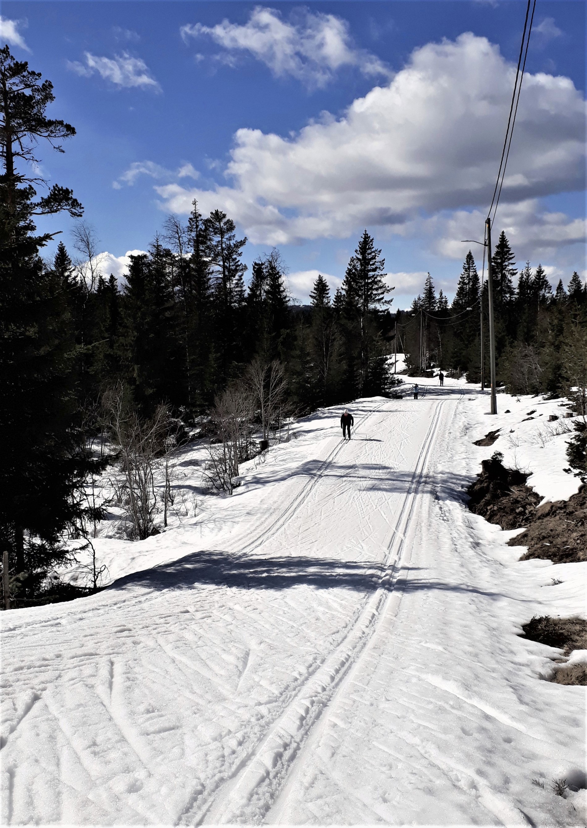 Drammensmarka leverer