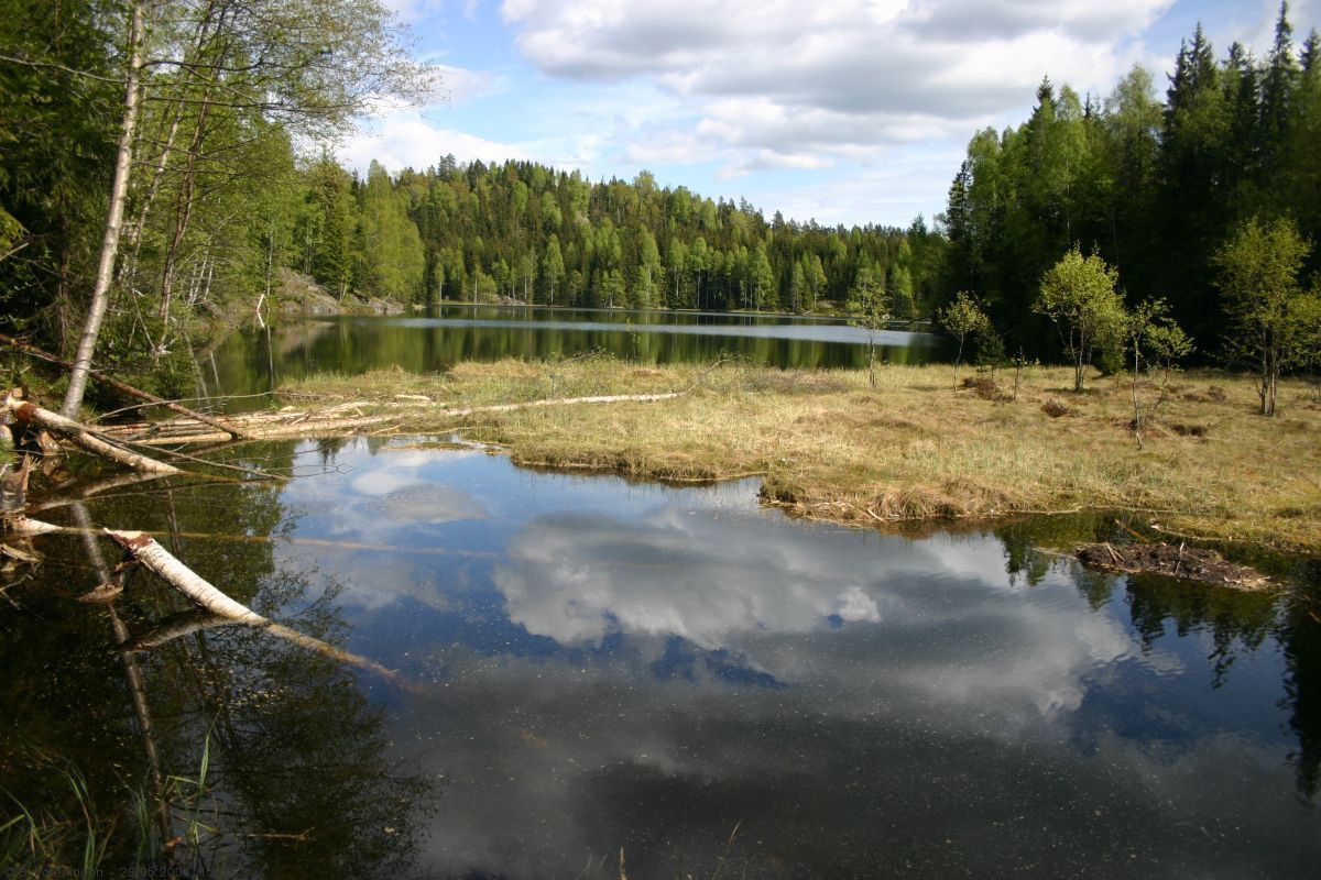 Drettvann