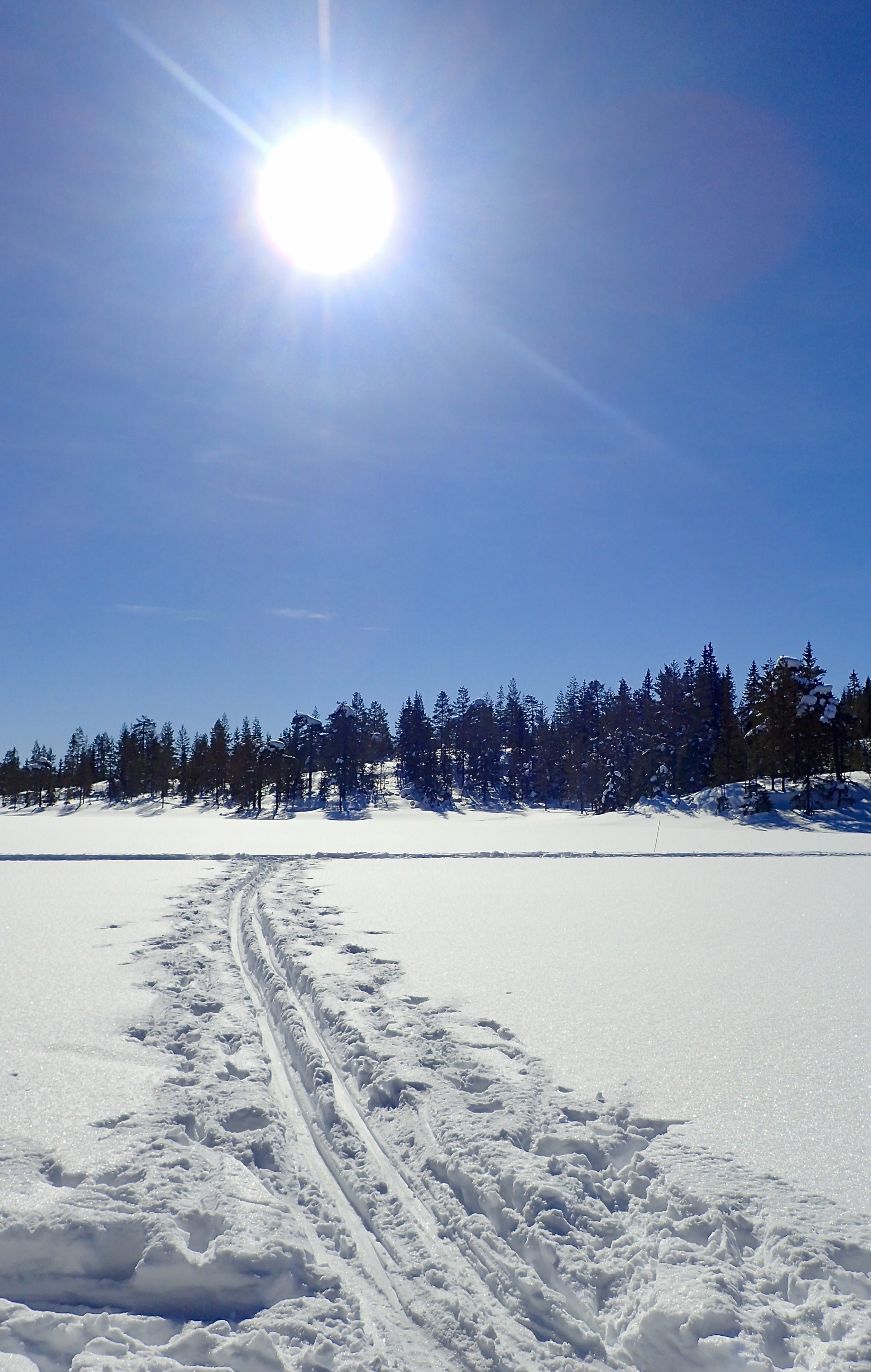 Drømmedag på Krokskogen