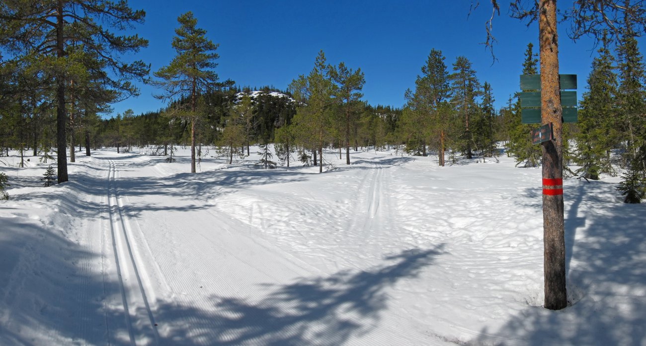 Drømmedag ved Rughaug